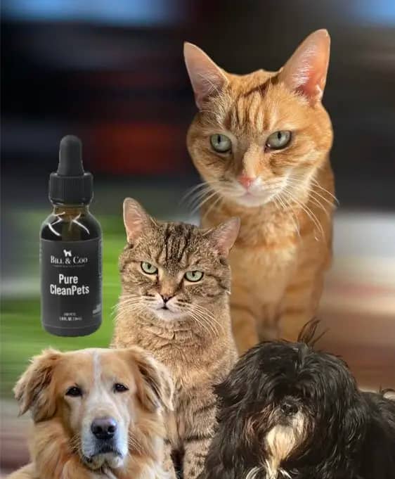 Bill & Coo Pure Clean Pets – Bild 2