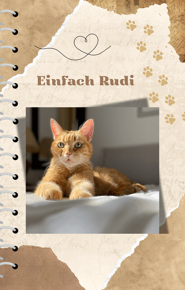 Einfach Rudi - Tiergeschichten voller Herz, Humor & Katzenliebe